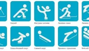 На какой вид спорта выгодно делать ставки?