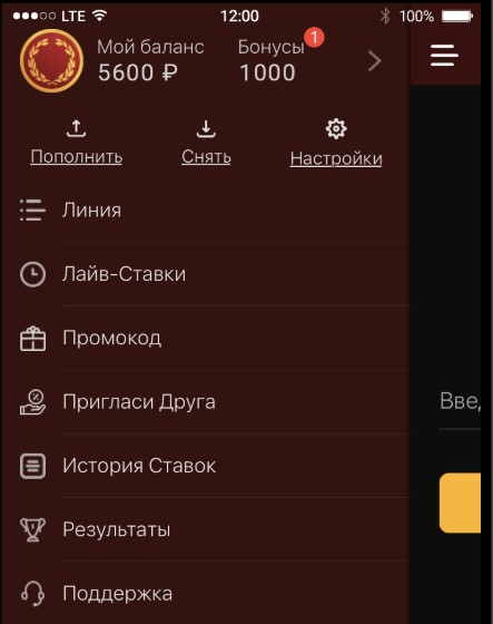 Разделы приложения olimp android