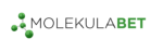 Molekulabet