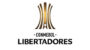 Букмекеры верят в бразильский триумф на Кубке Либертадорес