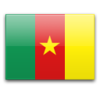 Прогноз на матч Гвинея - Камерун 06.02.2021