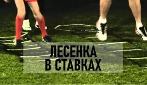 Лесенка (выращивание кабанчика): лучшая стратегия для ставок на спорт