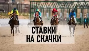 Ставки на скачки (лошадиные бега)