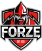 Vitality - forZe. Прогноз на матч PGL Major Antwerp. 10 мая 2022