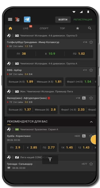 мобильное приложение Тото Гейминг