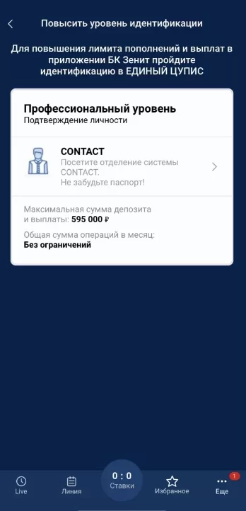 Панель идентификации