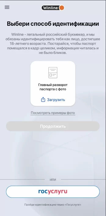 Винлайн идентификация