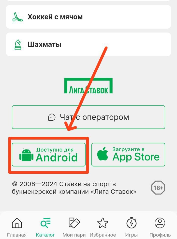Приложение БК Лига Ставок