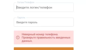 Почему не работает сайт и приложение БК Зенит