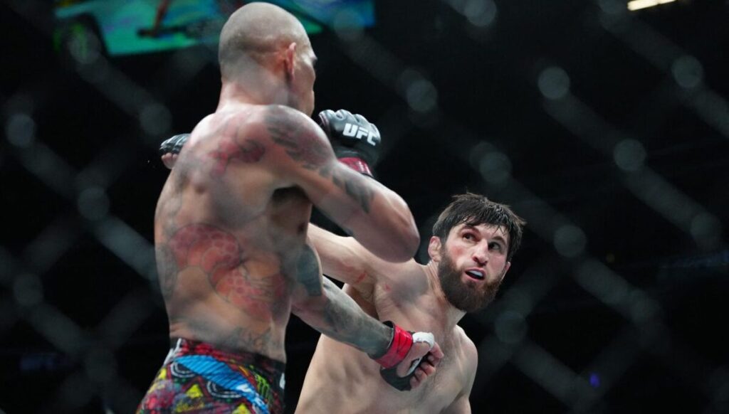 Анкалаев - Перейра. Прогноз на бой турнира UFC 320. 05.10.2025.