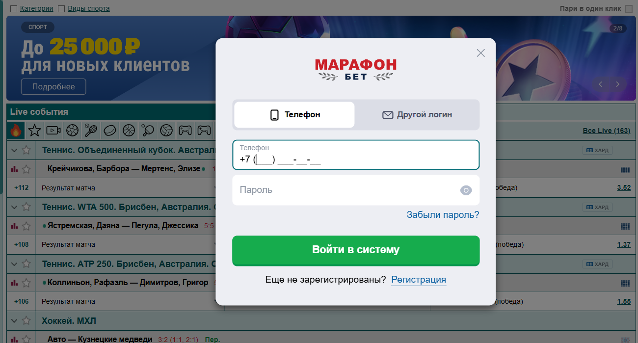вход в систему
