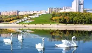 1xbet в Чебоксарах (адреса ППС букмекера)