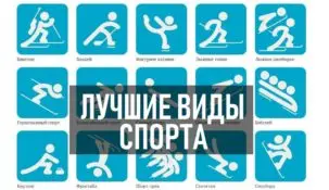 На какой вид спорта лучше делать ставки?