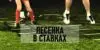 Лесенка (выращивание кабанчика): лучшая стратегия для ставок на спорт