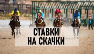 Ставки на скачки (лошадиные бега)