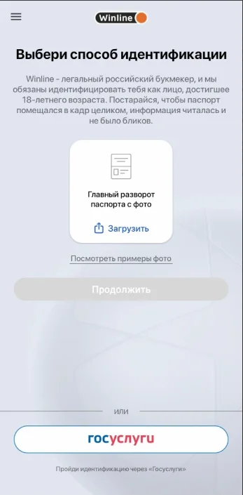 Винлайн идентификация