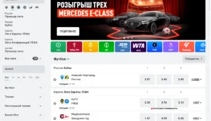 Леон система: как работает и рассчитывается системная ставка